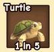 Turtle in the Ride A Pet community reference catalogue
